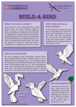 Build-A-Bird