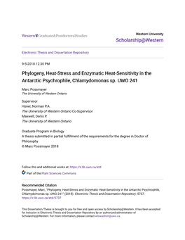Phylogeny, Heat-Stress and Enzymatic Heat-Sensitivity in the Antarctic Psychrophile, Chlamydomonas Sp. UWO 241