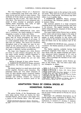 Adaptation Trials of Cordia Species at Homestead, Florida