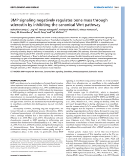 BMP Signaling Negatively Regulates Bone Mass Through Sclerostin by Inhibiting the Canonical Wnt Pathway