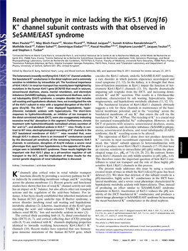 Renal Phenotype in Mice Lacking the Kir5.1 (Kcnj16) K Channel Subunit