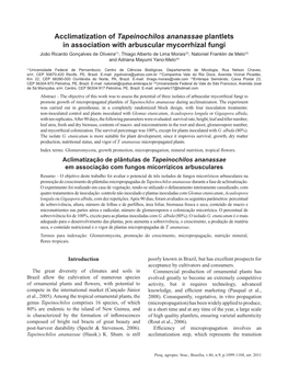 Acclimatization of Tapeinochilos Ananassae Plantlets in Association