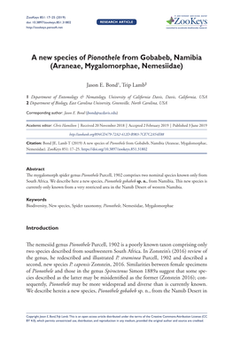 A New Species of Pionothele from Gobabeb, Namibia (Araneae, Mygalomorphae, Nemesiidae)