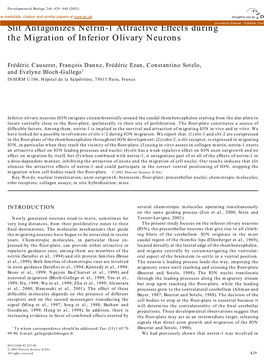 Slit Antagonizes Netrin-1 Attractive Effects During the Migration of Inferior Olivary Neurons