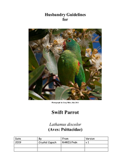 Swift Parrot