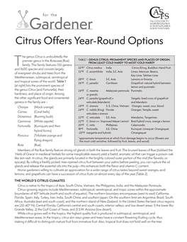 Citrus Offers Year-Round Options