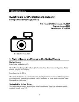 Dwarf Hoplo (Lepthoplosternum Pectorale) Ecological Risk Screening Summary