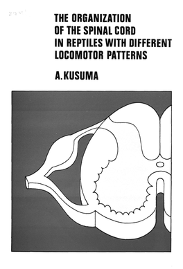 The Organization of the Spinal Cord in Reptiles with Different Locomotor Patterns A.Kusuma