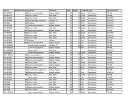 TREEID Bartlett Tree ID (If APL) Species Common DBH Height Conditiontype Dmaintenance 310-97007 289 Acer Macrophyllum Bigleaf Ma