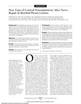 New Type of Cortical Neuroplasticity After Nerve Repair in Brachial Plexus Lesions