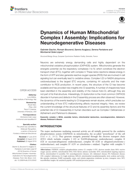Dynamics of Human Mitochondrial Complex I Assembly: Implications for Neurodegenerative Diseases