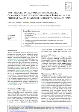 First Record of Monodontidae (Cetacea, Odontoceti) in the Mediterranean Basin from the Pliocene Sands of Arcille (Grosseto, Tuscany, Italy)