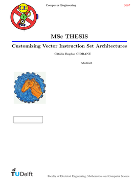 Msc THESIS Customizing Vector Instruction Set Architectures