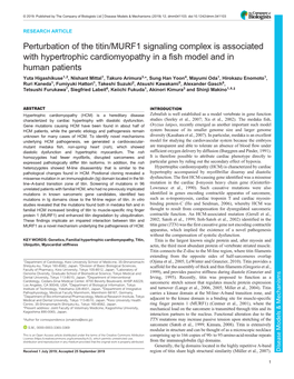 Perturbation of the Titin/MURF1 Signaling Complex Is Associated With