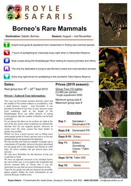 Borneo's Rare Mammals Tour