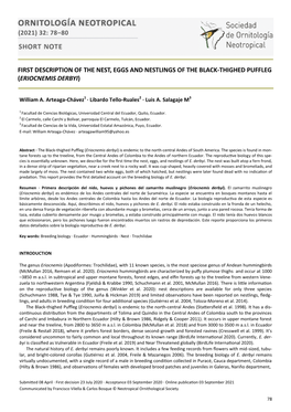 First Description of the Nest, Eggs and Nestlings of the Black-Thighed Puffleg (Eriocnemis Derbyi)