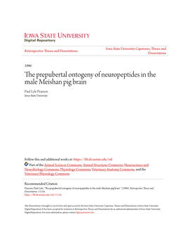 The Prepubertal Ontogeny of Neuropeptides in the Male Meishan Pig Brain Paul Lyle Pearson Iowa State University