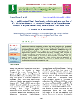 Survey and Records of Mealy Bugs Species on Cotton and Alternate