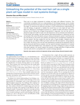 Unleashing the Potential of the Root Hair Cell As a Single Plant Cell Type Model in Root Systems Biology