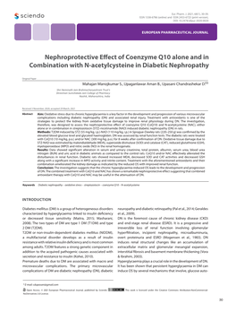 Nephroprotective Effect of Coenzyme Q10 Alone and in Combination with N-Acetylcysteine in Diabetic Nephropathy