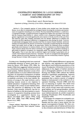 Cooperative Breeding in Lanius Shrikes