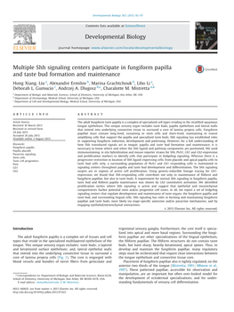 Multiple Shh Signaling Centers Participate in Fungiform Papilla and Taste Bud Formation and Maintenance