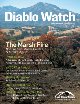 Diablo Watch, Issue 65