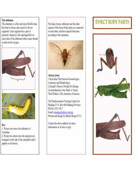 INSECT BODY PARTS the Head Or Thorax and Consist of Eleven Regions of the Insect Body Parts Are Connected Segments