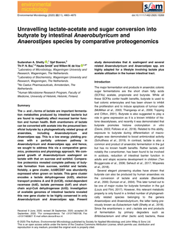 Unravelling Lactate‐Acetate and Sugar Conversion Into Butyrate By