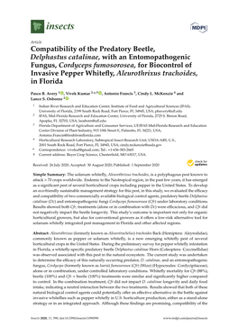 Compatibility of the Predatory Beetle, Delphastus Catalinae, with An