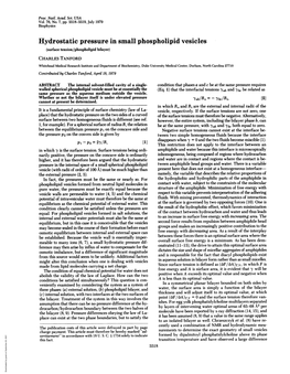 Hydrostatic Pressure in Small Phospholipid Vesicles