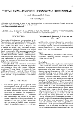 The Two Tasmanian Species of Calorophus (Restionaceae)