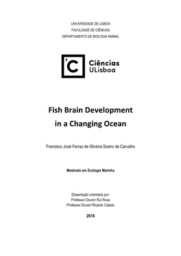Fish Brain Development in a Changing Ocean