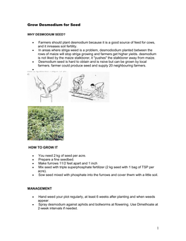 1 Grow Desmodium for Seed