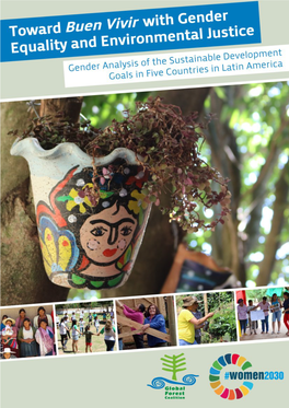 Gender Analysis of the Sdgs in Five Countries in Latin America | July