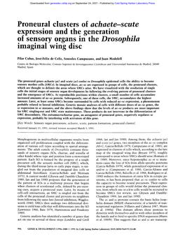 Proneural Clusters of Achaete-Scute Expression and the Generation of Sensory Organs in the Drosophila Imaginal Wing Disc