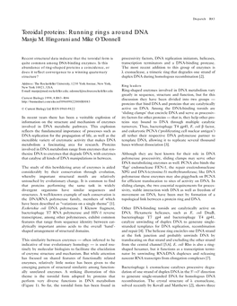 Toroidal Proteins: Running Rings Around DNA Manju M