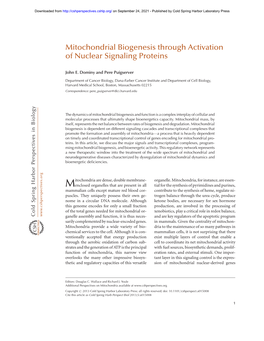 Mitochondrial Biogenesis Through Activation of Nuclear Signaling Proteins