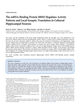 The Mrna-Binding Protein RBM3 Regulates Activity Patterns and Local Synaptic Translation in Cultured Hippocampal Neurons