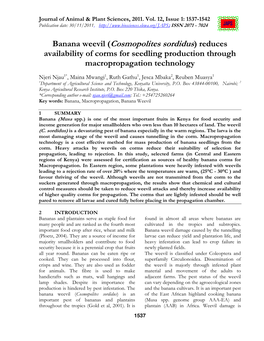 Banana Weevil (Cosmopolites Sordidus) Reduces