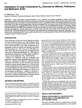 Potentiation of Large Conductance Kca Channels by Niflumic, Flufenamic, and Mefenamic Acids