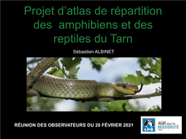 Projet D'atlas De Répartition Des Amphibiens Et Des Reptiles Du Tarn