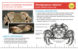 Hemigrapsus Takanoi Potential in the GULF of MAINE Brush-Clawed Shore Crab Invader