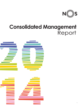 Consolidated Management Report