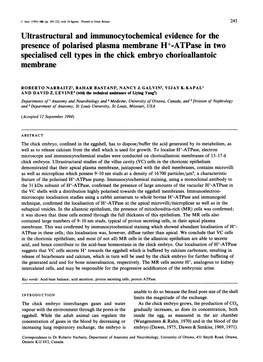 Specialised Cell Types in the Chickembryo Chorioallantoic