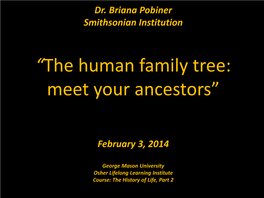 Homo Erectus Years Ago Australopithecus Sediba Homo Habilis Homo Rudolfensis