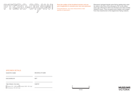 Ptero-Draw Activity Sheets 1.2MB .Pdf File