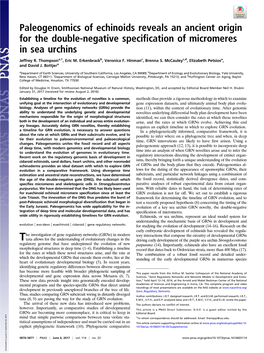 Paleogenomics of Echinoids Reveals an Ancient Origin for the Double-Negative Specification of Micromeres in Sea Urchins