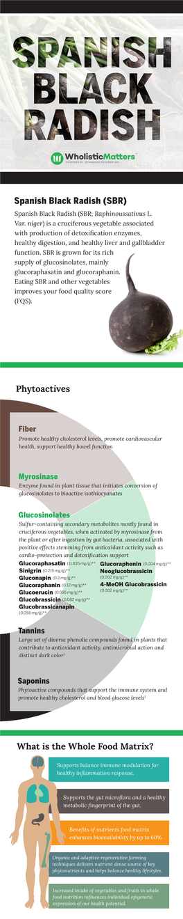 Spanish Black Radish (SBR) Phytoactives What Is the Whole