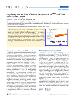 Regulatory Mechanisms of Tumor Suppressor P16<Sup>